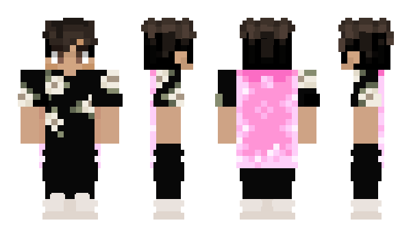 Minecraft skin E510