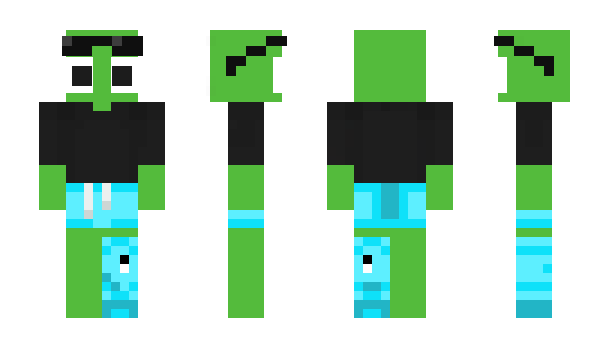 Minecraft skin tinybricks