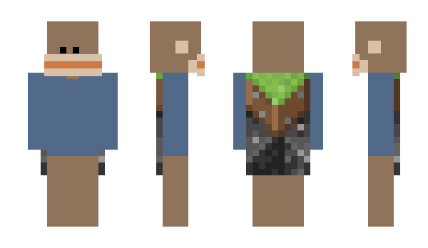 Minecraft скин по нику r1_1d