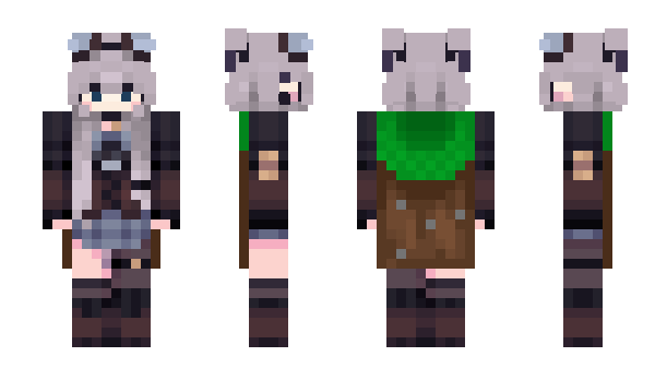 Minecraft skin Havosh