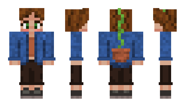 Minecraft skin Pauwer