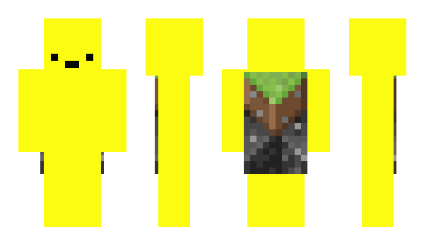 Minecraft skin eb2012
