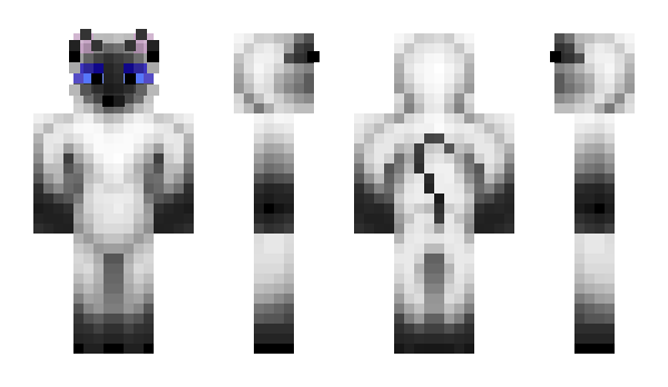 Minecraft skin Dasorry