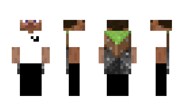 Minecraft skin Strind