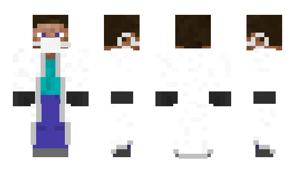 Minecraft skin MC3013PL