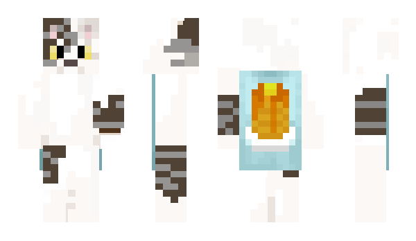 Minecraft skin netlify