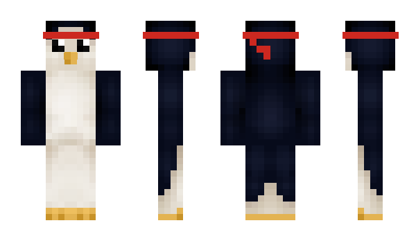 Minecraft skin EdGC