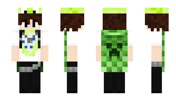 Minecraft скин по нику catnip1337