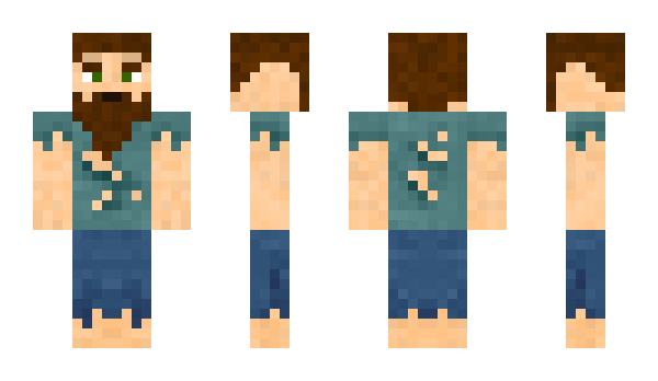 Minecraft skin Robini