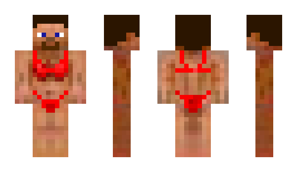 Minecraft skin NickLeSoja