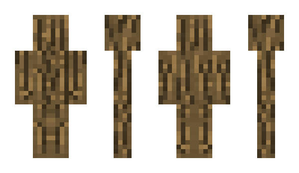 Minecraft skin WoodBruhLmaoo
