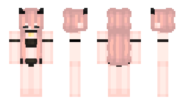 Minecraft skin pasoki