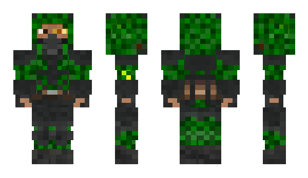 Minecraft skin Acvort