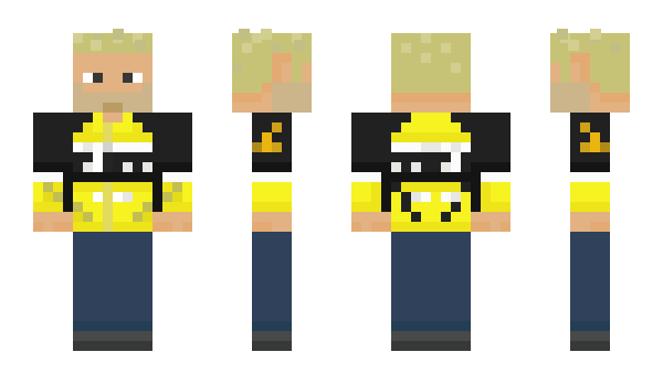 Minecraft skin Sixteenarmed