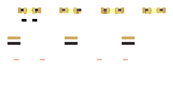 Minecraft skin Havit