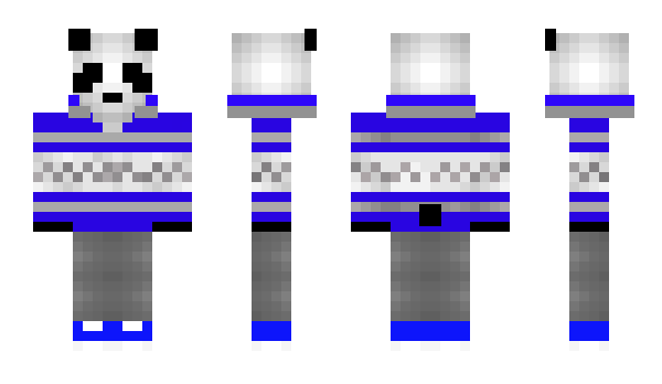 Minecraft skin FNJ