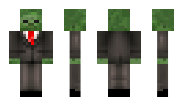 Minecraft skin WGFin