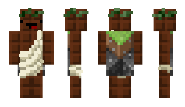 Minecraft skin e4mc