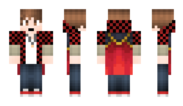 Minecraft skin roki8