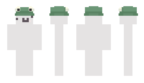 Minecraft skin VannB