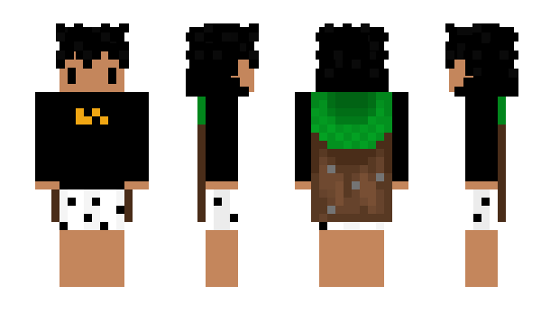 Minecraft skin Fenix_HDD