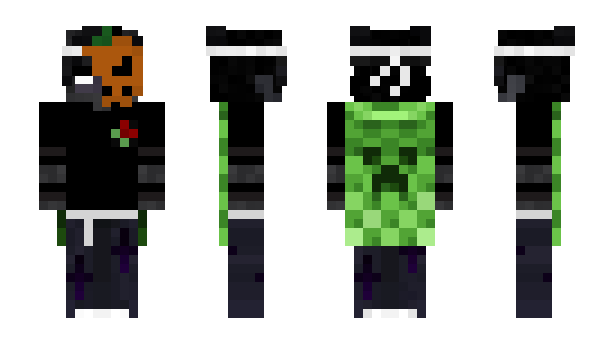 Minecraft skin HAJMOLA_