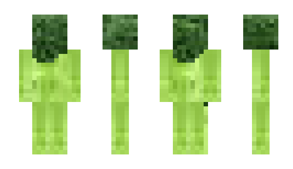 Minecraft skin SN22