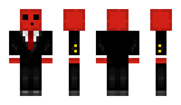 Minecraft skin bardocck