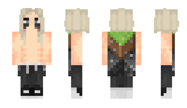 Minecraft skin 5hollis