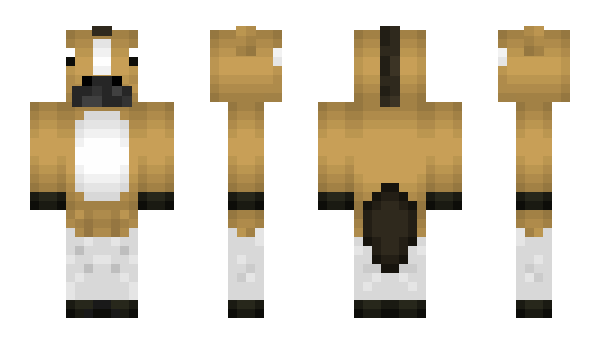 Minecraft skin Pacemakers