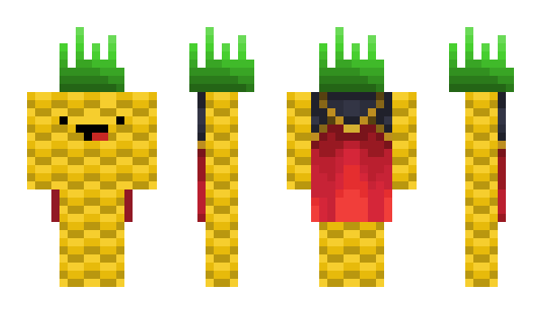 Minecraft skin BeetleMc