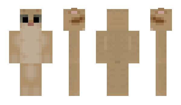 Minecraft skin kittycc