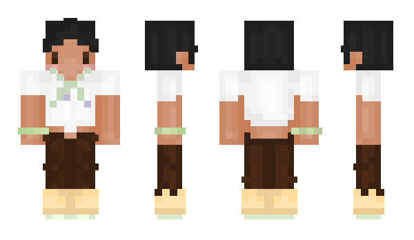 Minecraft skin starlop