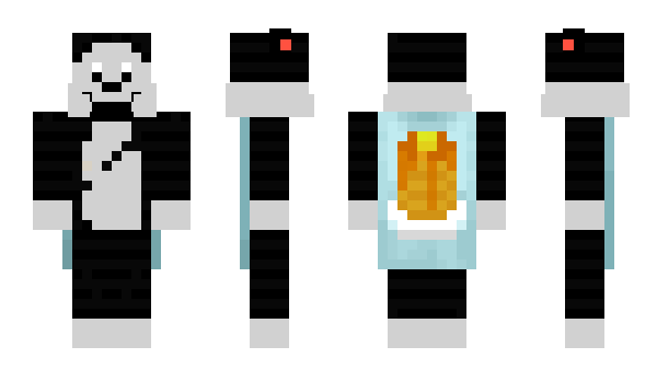 Minecraft skin Pr0oViNcE