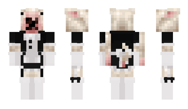 Minecraft skin Nupu