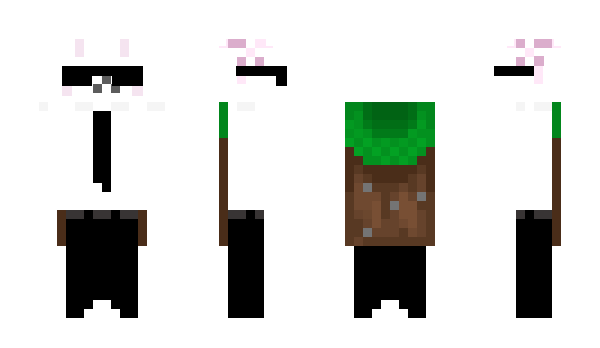 Minecraft skin MAKGO4444