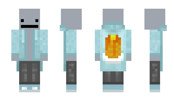 Minecraft skin LERZ1