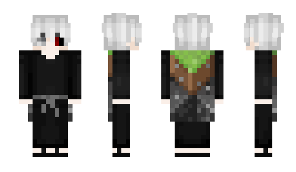 Minecraft skin ___________o