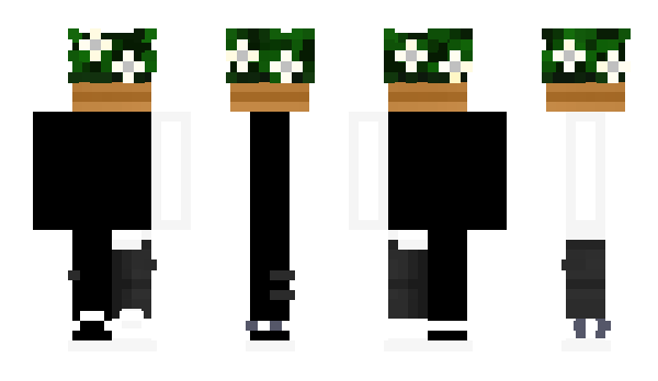 Minecraft skin der_rohrverleger