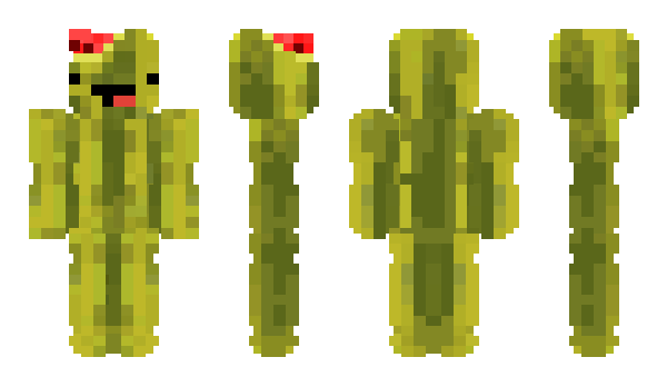 Minecraft skin Melon24