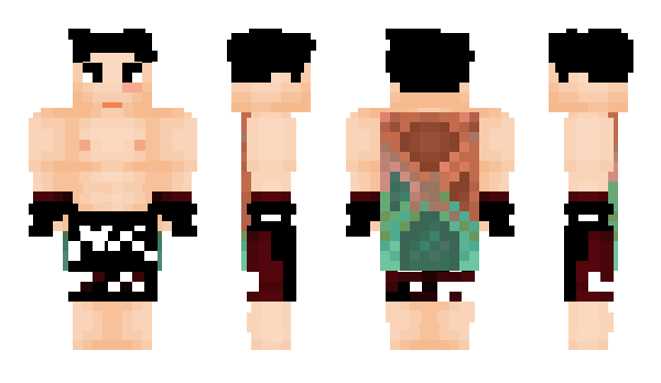 Minecraft skin wnxc