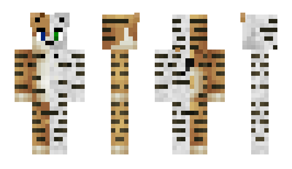 Minecraft skin iTz_Andy