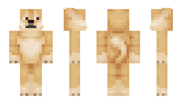Minecraft skin EpicGamerDoge