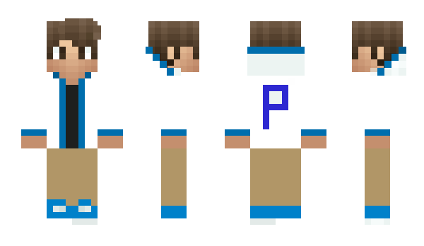 Minecraft skin pcphelan