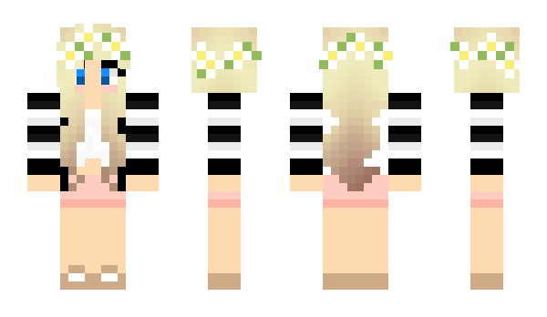 Minecraft skin seelions