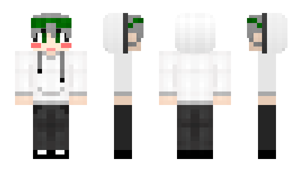 Minecraft skin bbdol