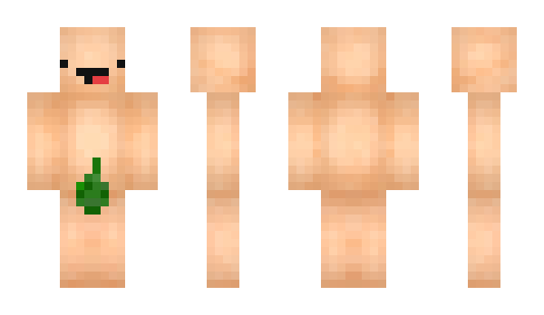 Minecraft skin petrom