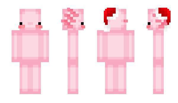 Minecraft skin Bugella