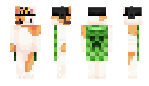 Minecraft skin Cargador