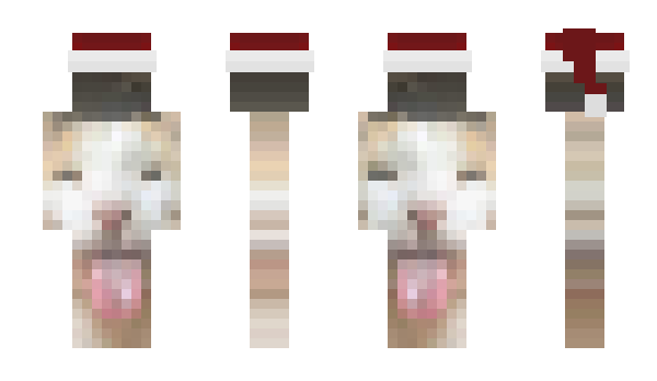 Minecraft skin mghm